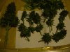 6DSC08494.JPG