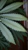 20150727_170059.jpg