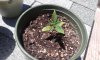 20150730_144117.jpg