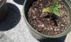 20150730_144121.jpg