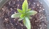 20150730_144207.jpg