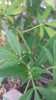 20150730_182149.jpg