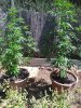 CAM00570.jpg