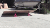 56014-Wonder-Dog-skateboard-gif-Wq4B.gif