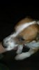 20150716_210533.jpg
