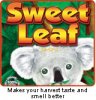 sweetleaf.jpg
