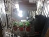 growroom.jpg