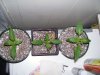 100_5959.jpg