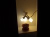 100_0303.jpg