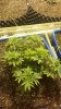 20150801_014829.jpg 20150801_014829.jpg