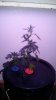 20150803_160410.jpg
