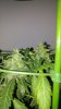 20150803_204808_cleaned.jpg