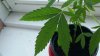20150806_145820.jpg 20150806_145820.jpg