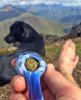 RIU-72-Budsy on Ptarmagain1656.jpg