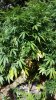 20150809_094649.jpg 20150809_094649.jpg