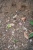 100_0753.JPG
