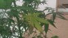 20150813_133126.jpg 20150813_133126.jpg
