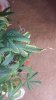 20150813_133207.jpg 20150813_133207.jpg