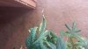 20150813_133215.jpg 20150813_133215.jpg