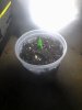 IMG_20150730_182007.jpg