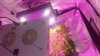 20150814_131943.jpg