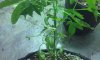 20150816_141819.jpg