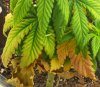20150823_170701_HDR~2.jpg