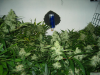 upload_2015-8-25_22-58-34.png