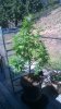 WP_20150725_15_38_36_Pro.jpg