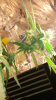 Screenshot_2015-08-30-20-29-03.png