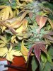 DSCN3562.JPG