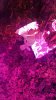 20150723_204527.jpg