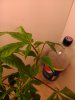 DSC_0162.jpg