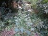 20150909_185739.jpg