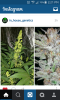 Screenshot_2015-09-12-14-21-03.png