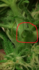 Untitled.png
