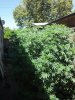2014-07-11_11-02-27_649.jpg