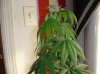 DSC00047.JPG