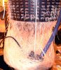 Root mass.jpg