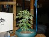 DSC00503.JPG