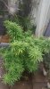 20150916_111436.jpg