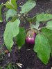 20150919_153659.jpg