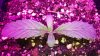 20150922_192745.jpg