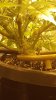 20150922_160955.jpg
