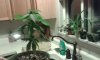 20150922_211952.jpg