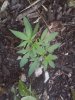 20150923_083053.jpg