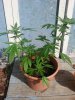 20150925_145534.jpg