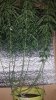 20150923_235123.jpg