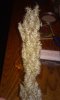 20150921_163952.jpg