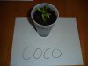 DSC01269.jpg